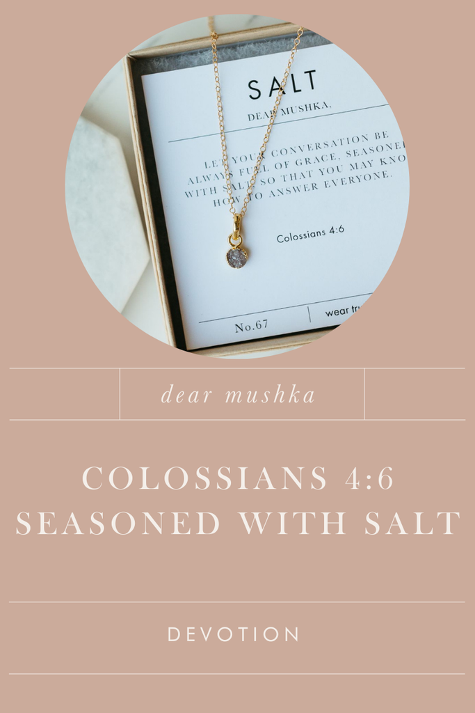 Colossians 4:6 Seasoned with Salt Devotion