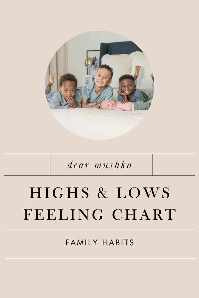 Highs and Lows Feeling Chart