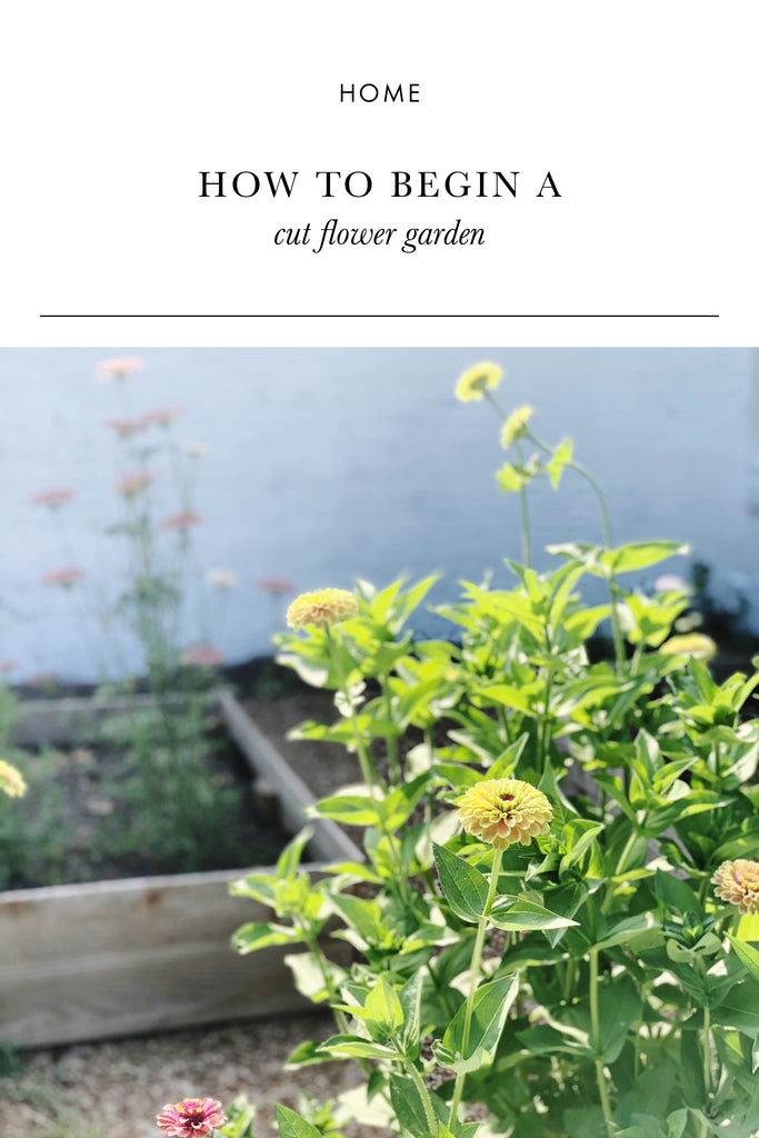 How to Begin a Cut Flower Garden